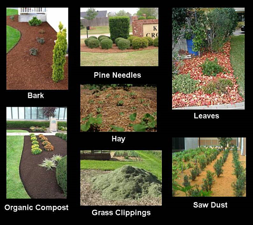 Little Known Facts About Organic Mulch.